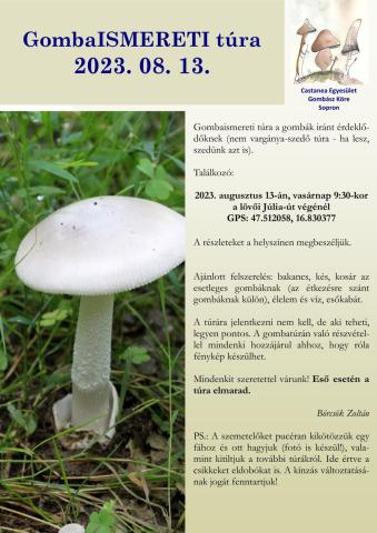 Gombaismereti túra | Castanea Környezetvédelmi Egyesület